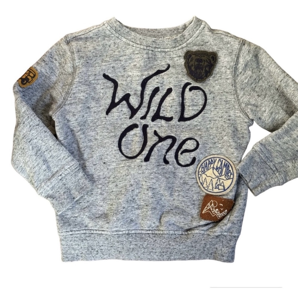 Gymboree Sweatshirt